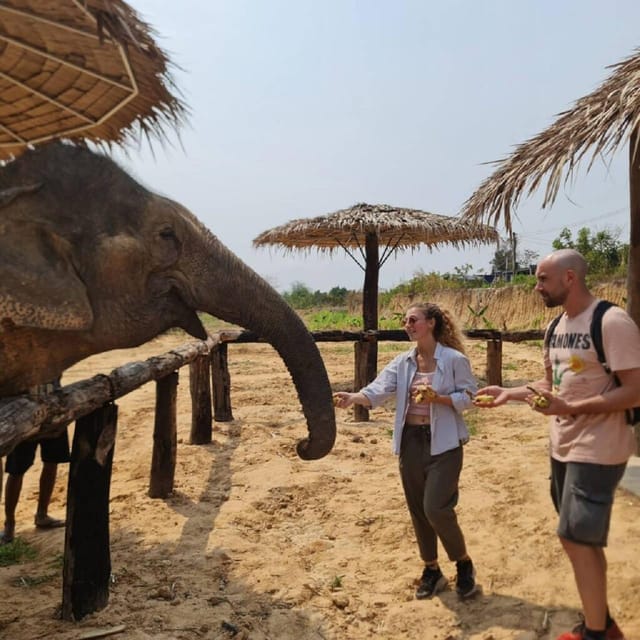 Cambodia Elephant Sanctuary and Banteay Srey Temple Tour - Transportation Details