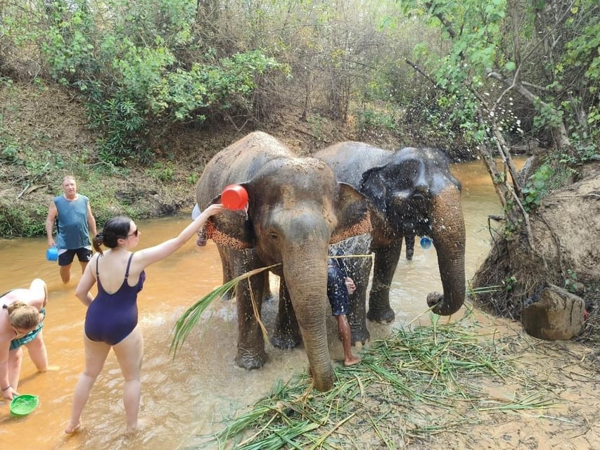 Cambodia Elephant Sanctuary, Pickup and Drop off Included - Customer Testimonials