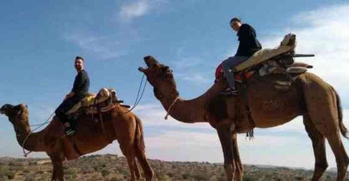 Camel Safari Tour From Jodhpur - Frequently Asked Questions