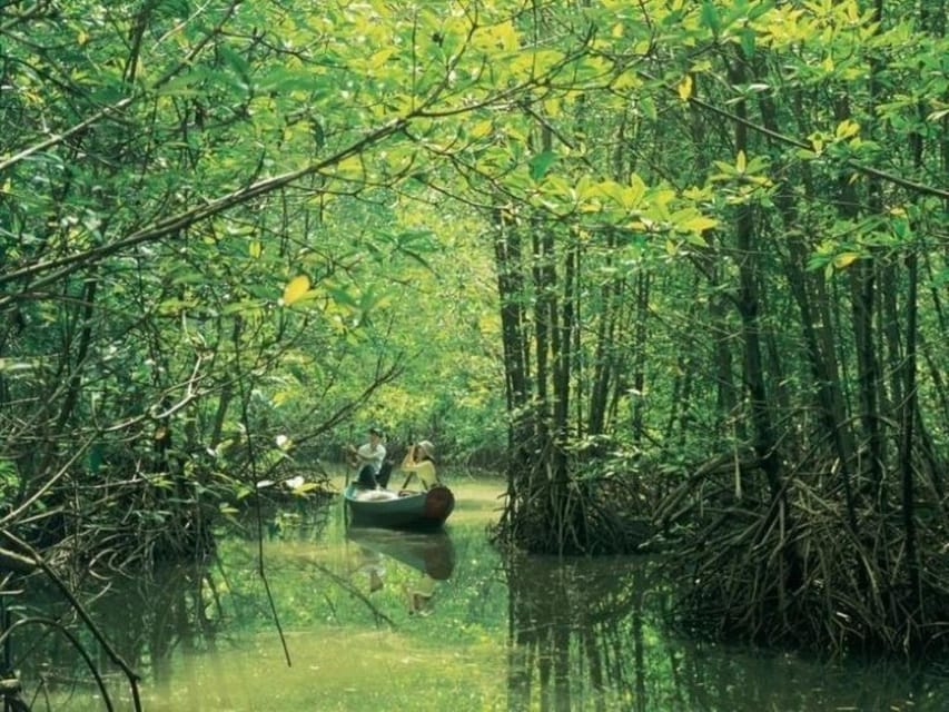 Can Gio Mangrove Forests - Important Travel Tips