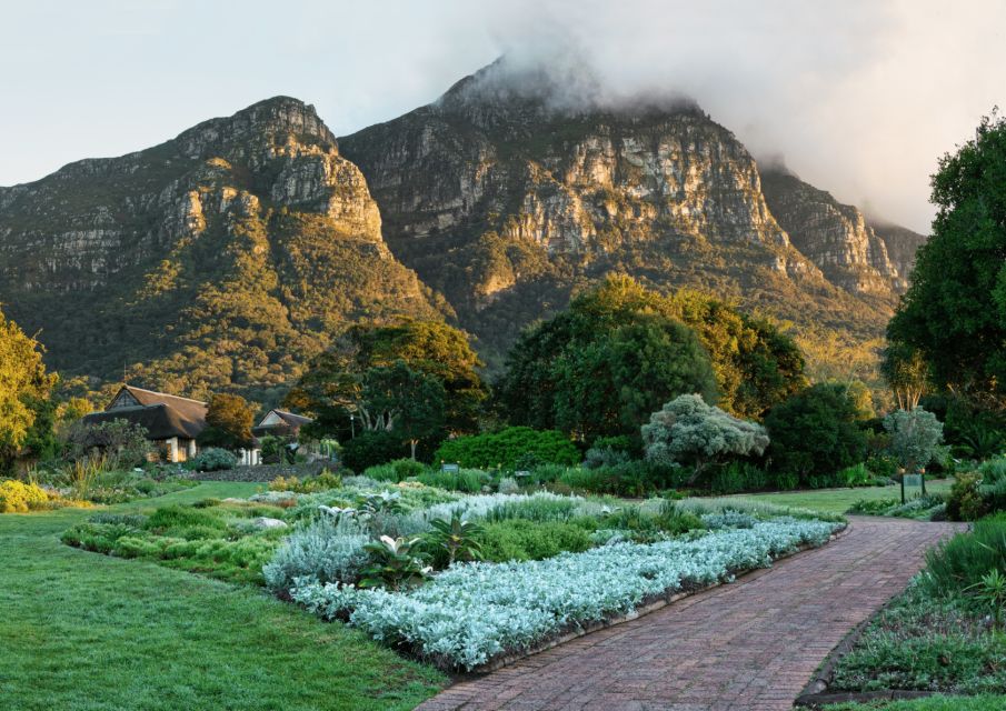 Cape Town City Tour: Table Mountain, Kirstenbosch & Wine - Expert Guide Insights