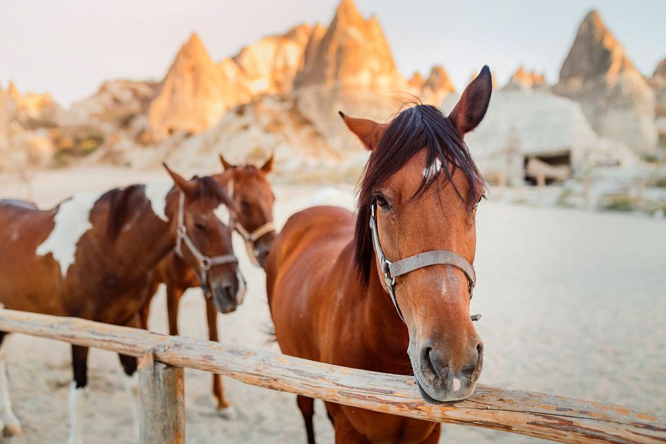 Cappadocia: Horse Riding W/Sunrise & Sunset Option - Frequently Asked Questions