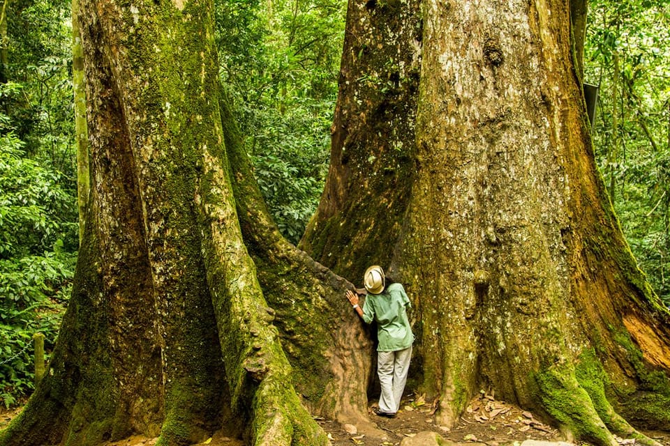 Car Hire & Driver: Cuc Phuong National Park From Ha Noi - Important Booking Information