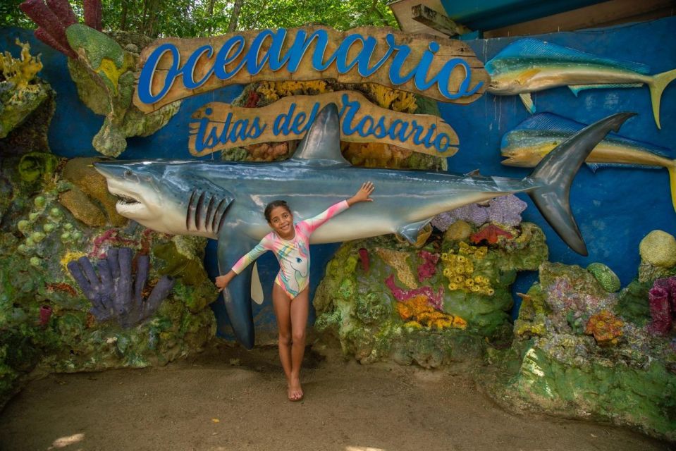 Cartagena: Family Day To The Rosario Islands Up To 12 People - Accessibility and Safety Features