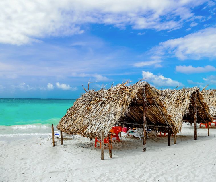 Cartagena: Horseback Riding on the Beach at Sunset - Tips for a Great Ride