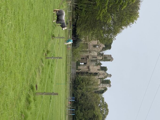 Castle and Coastline Electric Bike Tour North Berwick - Customer Experiences
