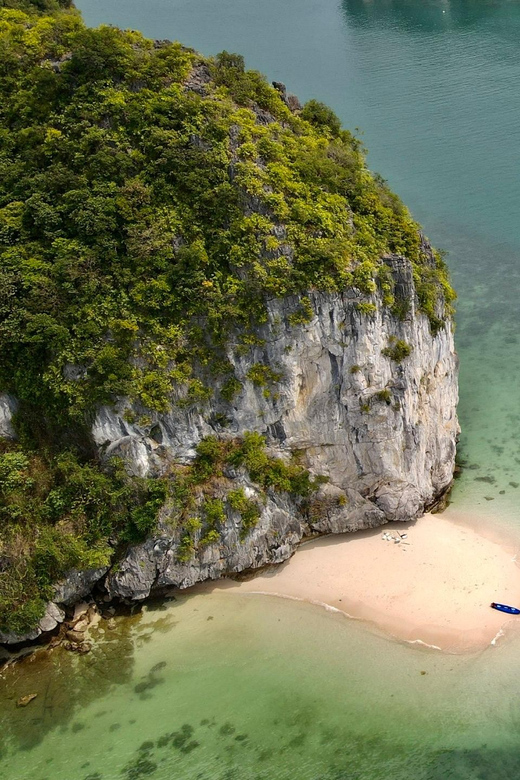 Cat Ba Island: Full-Day Cruise to Lan Ha and Ha Long Bay - Customer Feedback