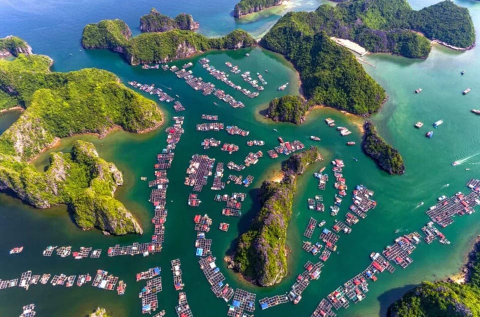 Cat Ba - Lan Ha Bay Cruise and Ninh Binh Scenery - Hanoi Pickup and Drop-off