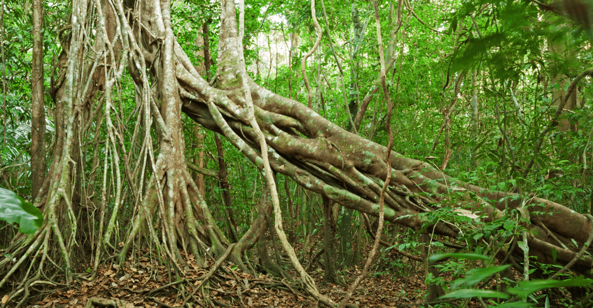 Cat Tien National Park With Crocodile Lake - Exploring Crocodile Lake