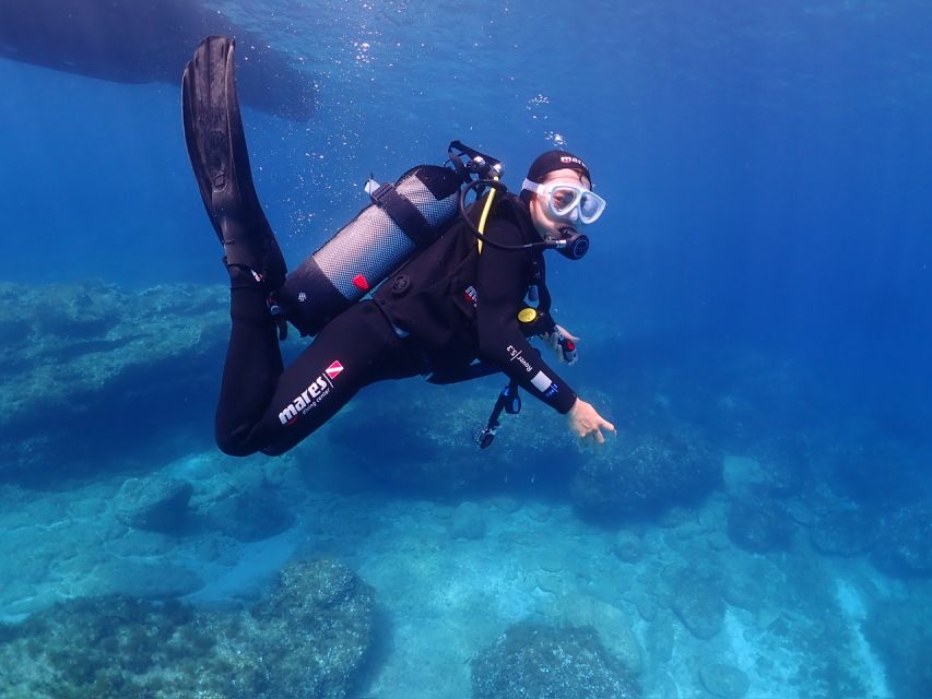 Cebu: Boat Diving Two Dive Tour in Olango Island - Customer Reviews