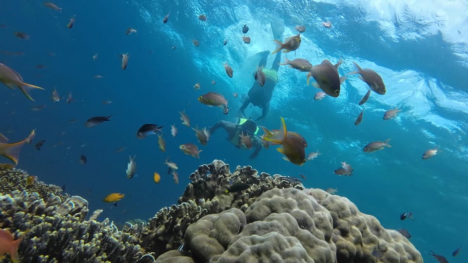 Cebu Combo:Pescador Island Hopping & Canyoneering With Lunch - Participant Suitability