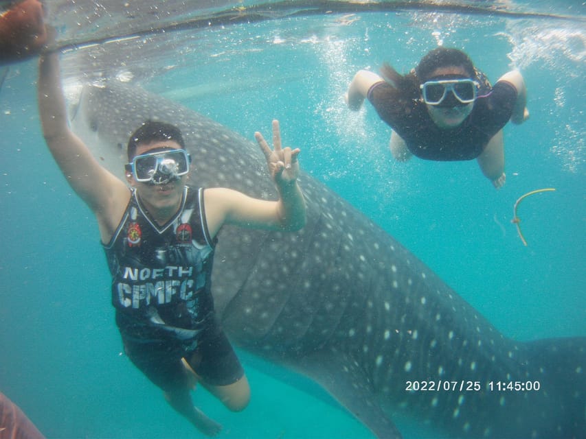 Cebu Group Tour: Whaleshark Watching & Kawasan Canyoneering - Important Guidelines