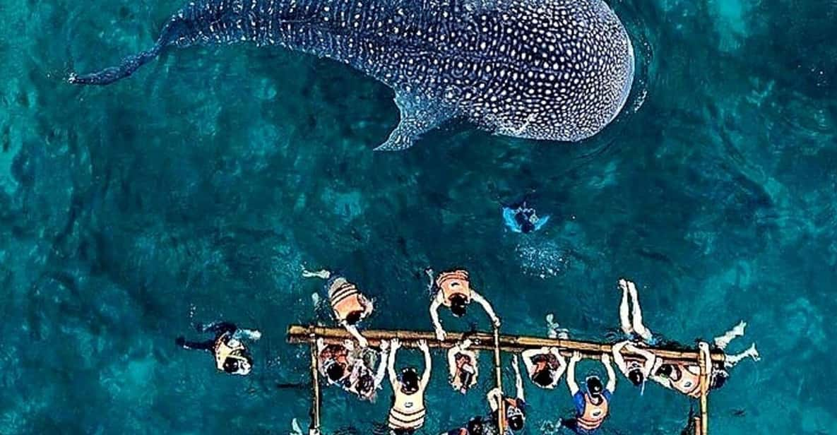 Cebu Whale Shark Encounter Simala Church & Ka Treasure Falls - What to Bring