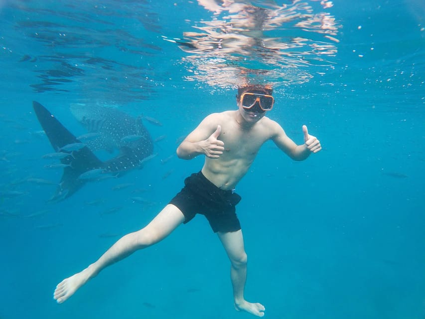 Cebu: Whale Shark, Sumilon Island, & Inambakan Falls - Moalboal Snorkeling