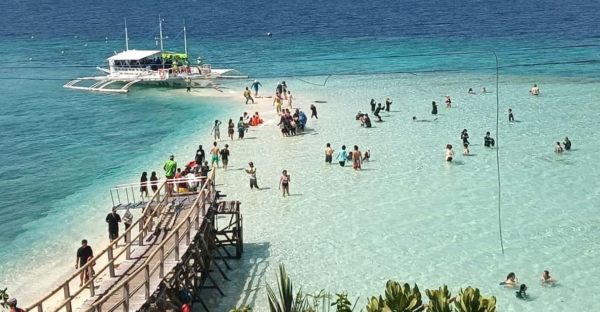 Cebu: Whaleshark Watching, Sumilon Island, and Moalboal… - Customer Feedback