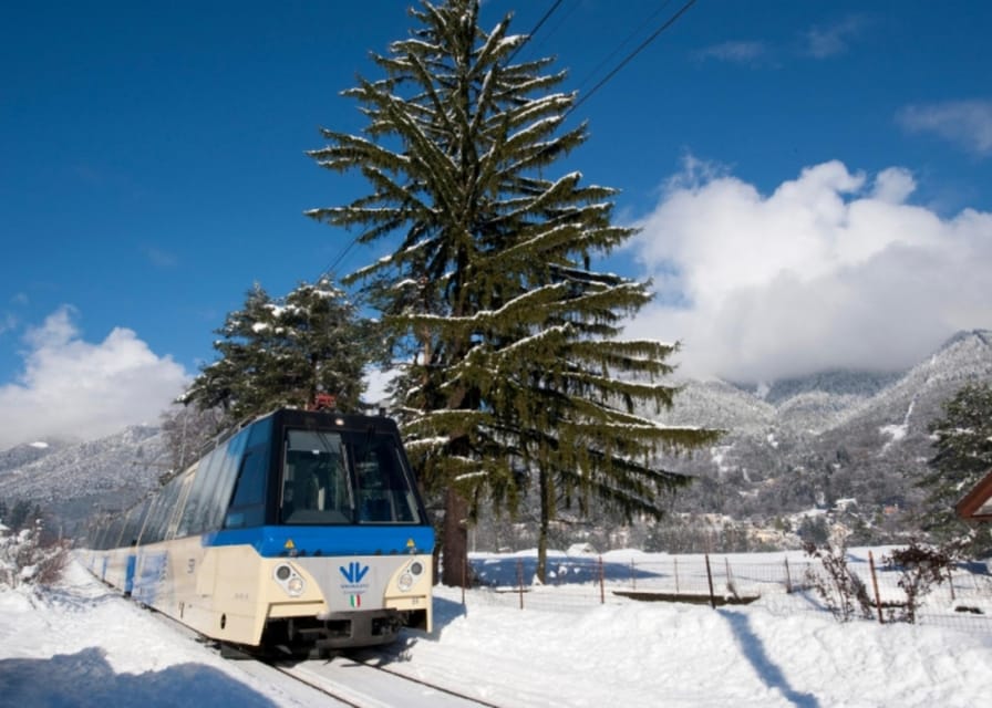 Centovalli Express: Scenic Rail Between Camedo & Domodossola - Accessibility Features