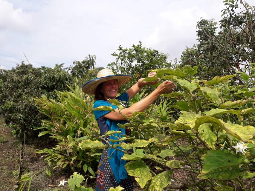 Chaing Mai : Cooking in Organic Farm With a Local Train Trip - Suitability