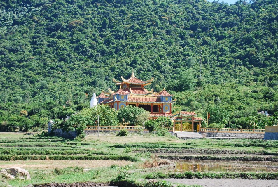 Cham Island Discovery Tour - Tips for a Great Experience