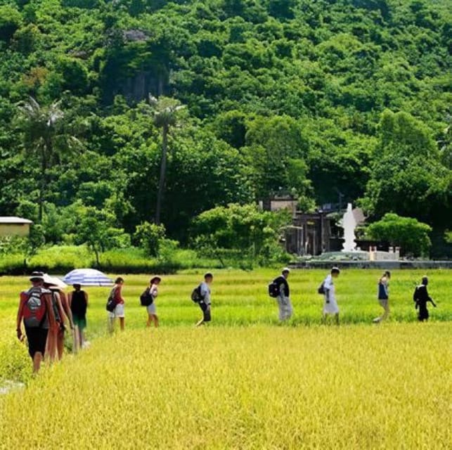 Cham Island Sightseeing & Snorkeling Excursion. - Booking and Cancellation