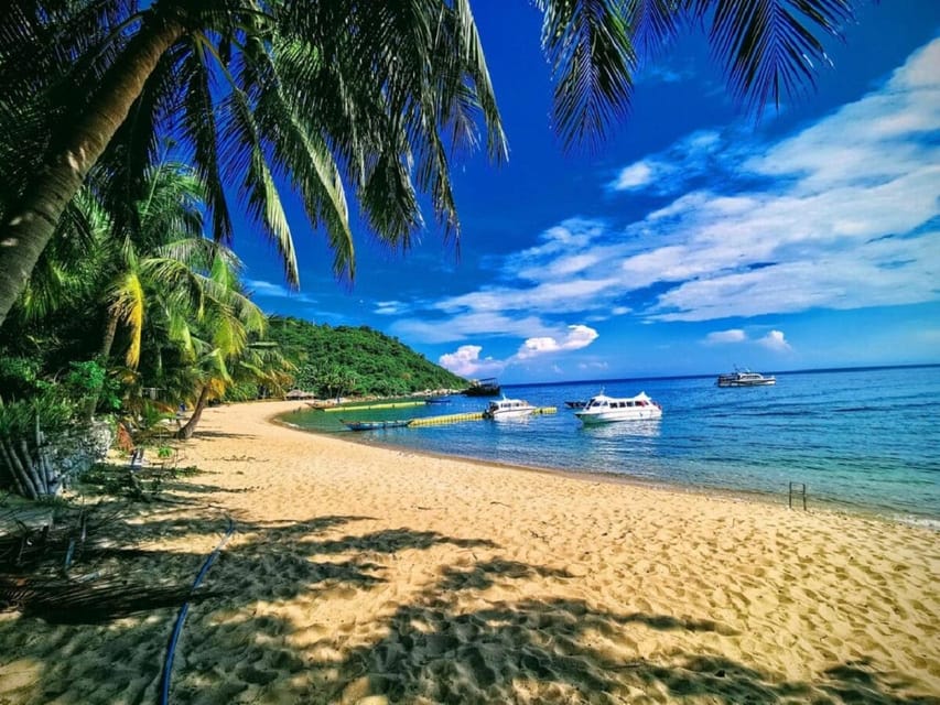 Cham Island: Snorkeling Experience From Danang - Contact Information