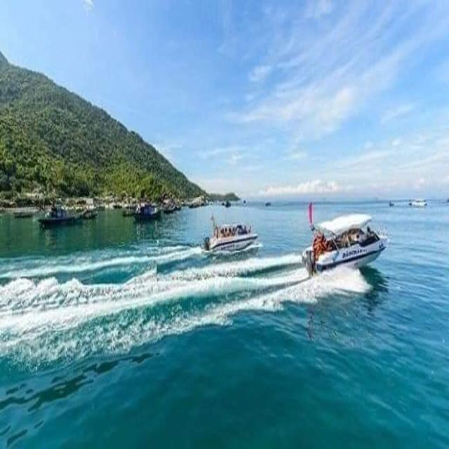 Cham Island - Snorkeling Tour From Hoi An/Danang - Customer Feedback