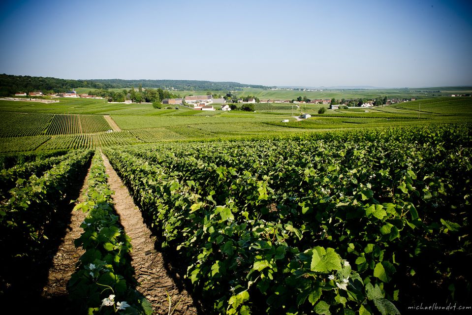 Champagne: Canard-Duchêne Champagne House Tour - Duration and Languages