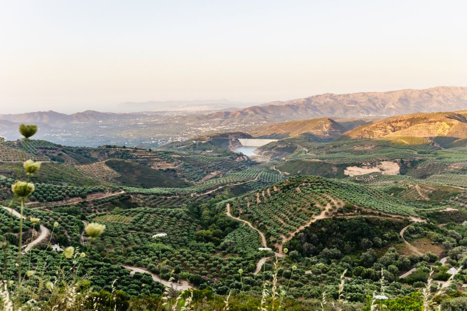 Chania: Off-Road Tour at Sunset With Wine Tasting - Customer Reviews