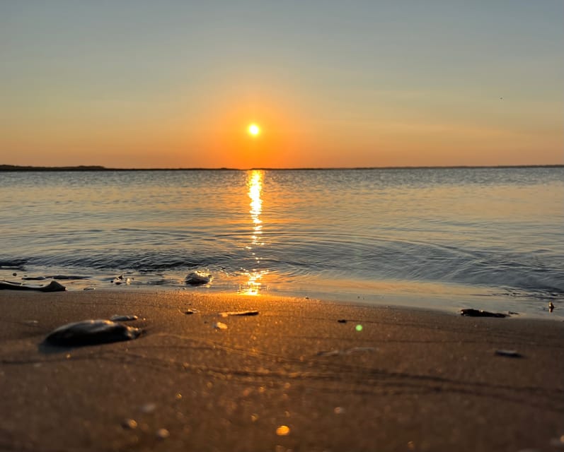 Charleston: Morris Island Dolphin Cruise With Beachcombing - Customer Reviews