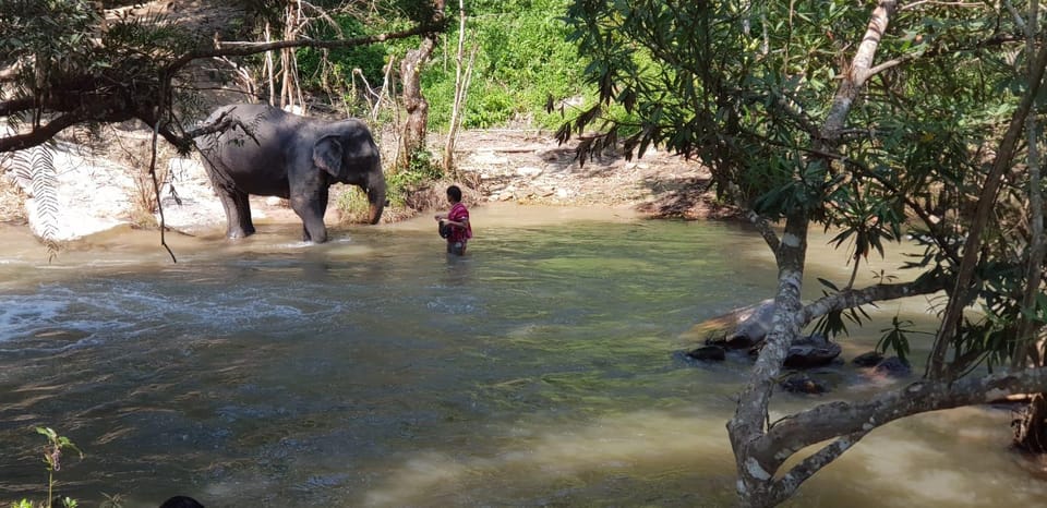 Chiang Mai Day Tours - Pickup and Transportation