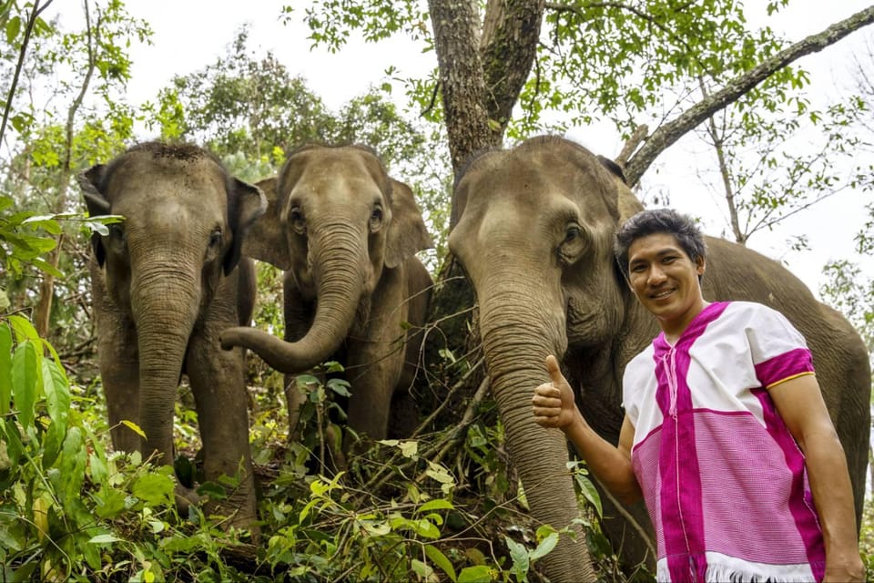 Chiang Mai: Elephant Dream Project Sanctuary - Full Day - Inclusions and Pricing