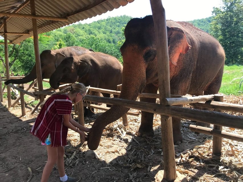 Chiang Mai: Elephant Tour, Ziplining, Rafting, Waterfall - Bamboo Rafting