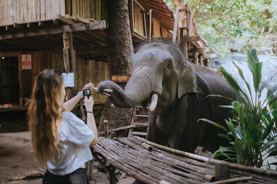 Chiang Mai: Elephants Sanctuary, Waterfalls, Trekking 2 Days, Sleep 1 Night - Group Size and Tour Guide