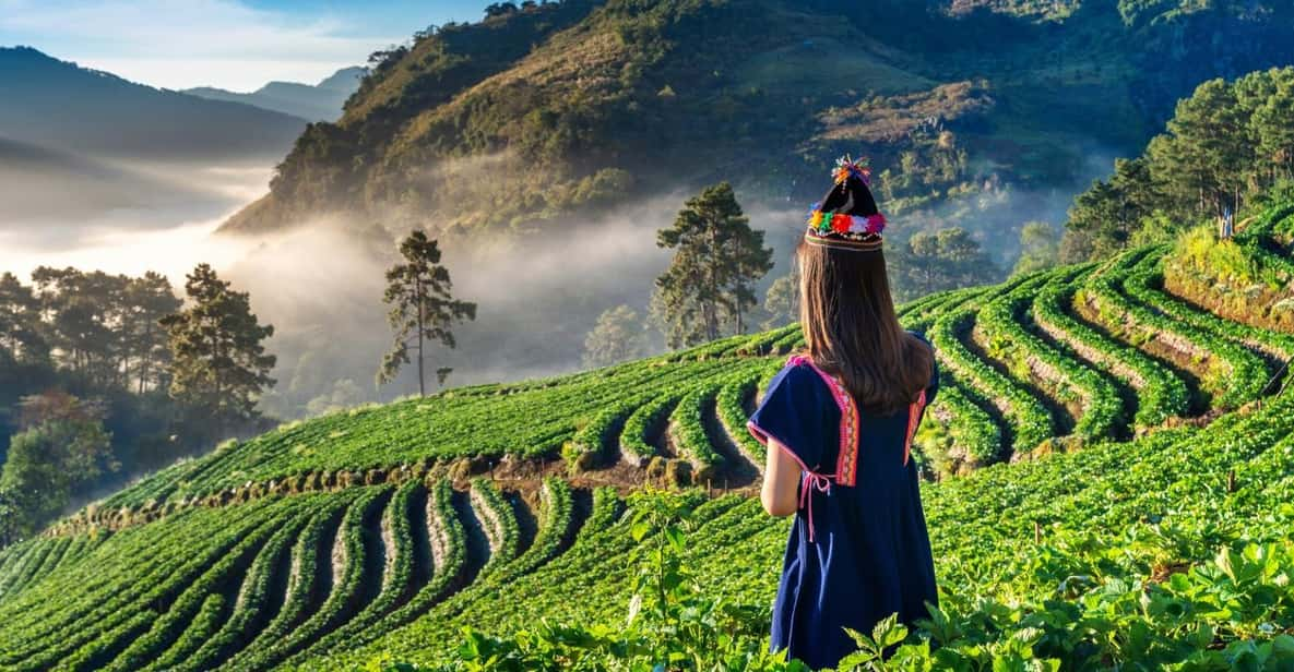 Chiang Mai: Full-Day Private Car Charter to Doi Ang Khang - Ang Khang Strawberry Farm