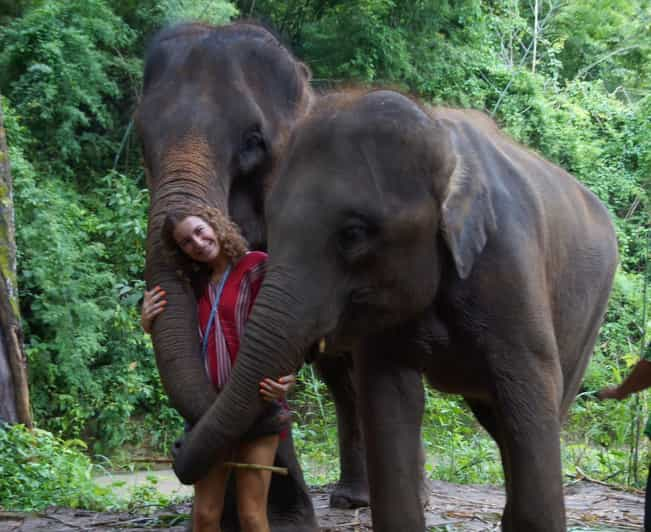 Chiang Mai: Half Day Elephant Eco Park Tour - Booking and Cancellation