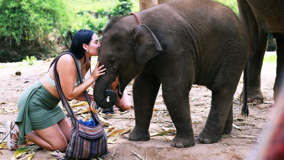 Chiang Mai: Half Day Living Green Elephant Sanctuary - Getting to the Sanctuary