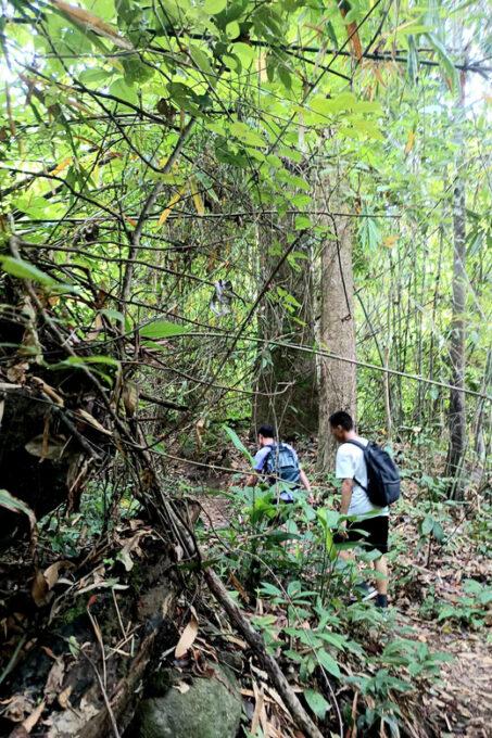 Chiang Mai: Highlight Overnight Stay Trekking Experience - Safety and Insurance