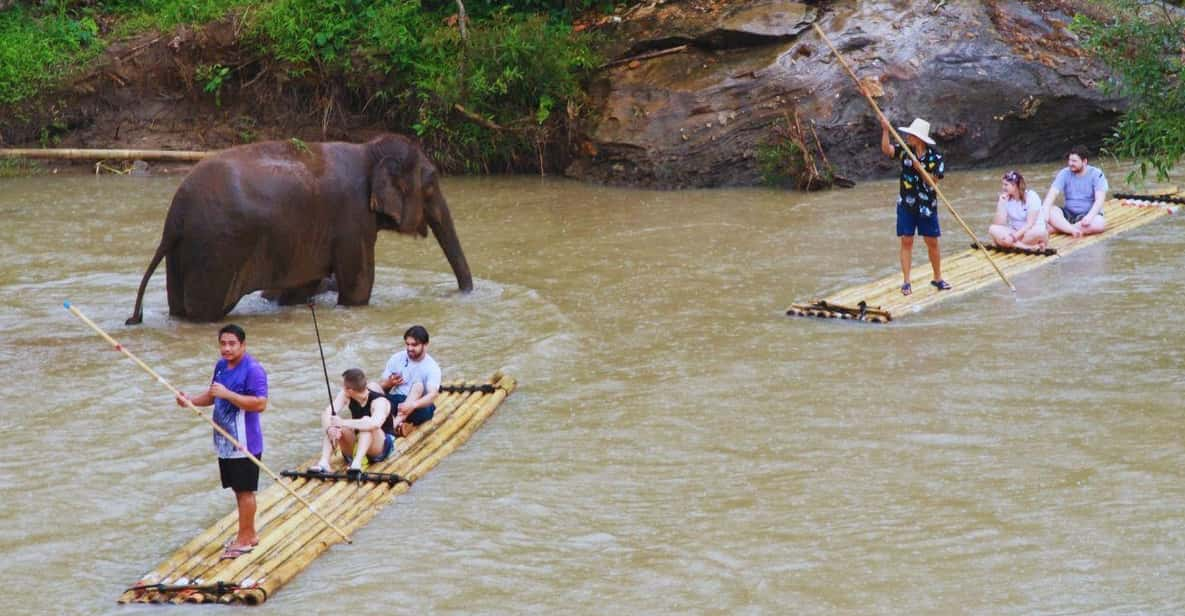 Chiang Mai: Living Green Elephant Sanctuary & Bamboo Rafting - Cancellation and Booking