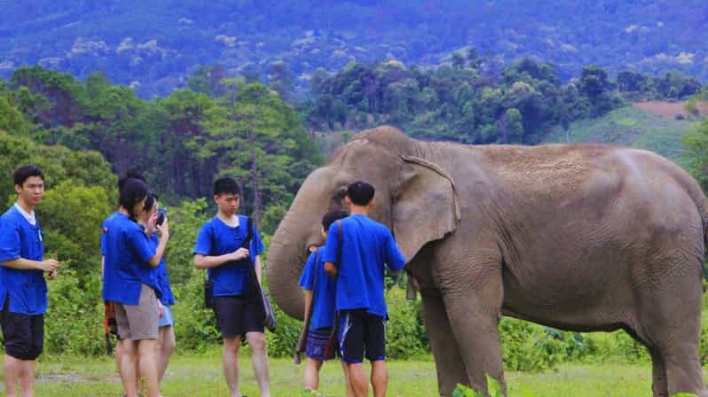 Chiang Mai: Living Green Elephant Sanctuary & Intanon Hiking - Sanctuary and Hiking