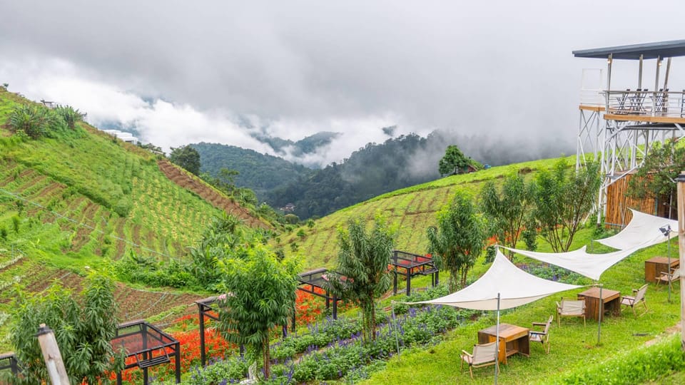 Chiang Mai: Minivan Rental With Driver to Doi Mon Jam - Pongyang Jungle Coaster Zipline