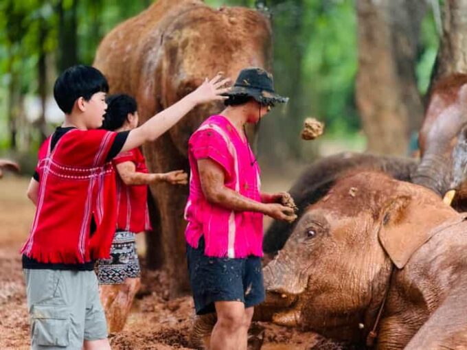 Chiang Mai : Temple , Nature and Culture in One Day. - Transportation and Insurance