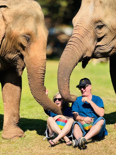 Chiang Mai Tour: Bua Tong Sticky Waterfall & Elephant Care - Waterfall Exploration