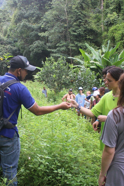 Chiang Mai : Trekking + Elephant Care - Recommendations