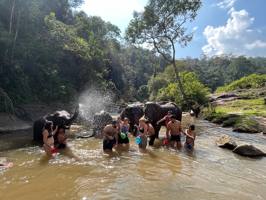 Chiang Mai: Waterfall, Elephant Sanctuary, and Rafting Tour - Customer Reviews