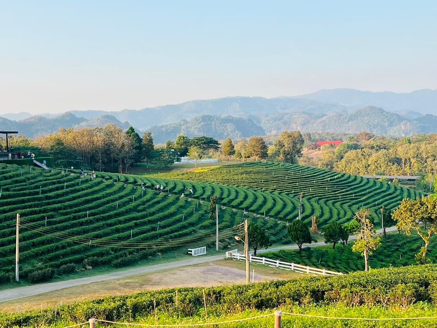 Chiang Rai: Discover 7 Must-See Spots & Lunch Included - Long Neck Karen Village