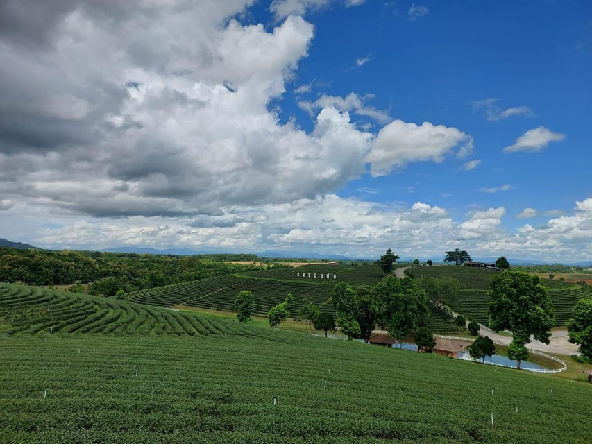 Chiang Rai: Temple Treasures & Popular Sightseeings (Buffet) - Three Signature Temples