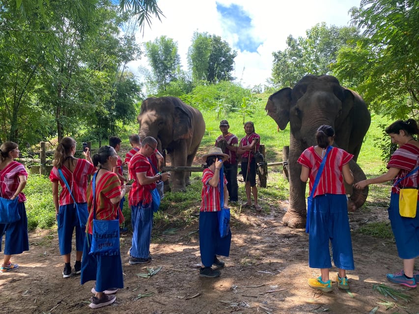 Chiang Rai:Experience the Way of the Elephants [Half-Day] - Pricing and Booking Details