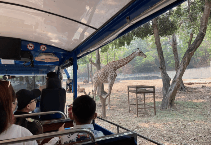 Chiangmai Zoo With Pick up Services - Contact Information