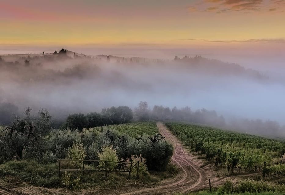 Chianti Half-Day Wine Tour Included Lunch and Tasting (5hrs) - Meeting and Pick-Up Details