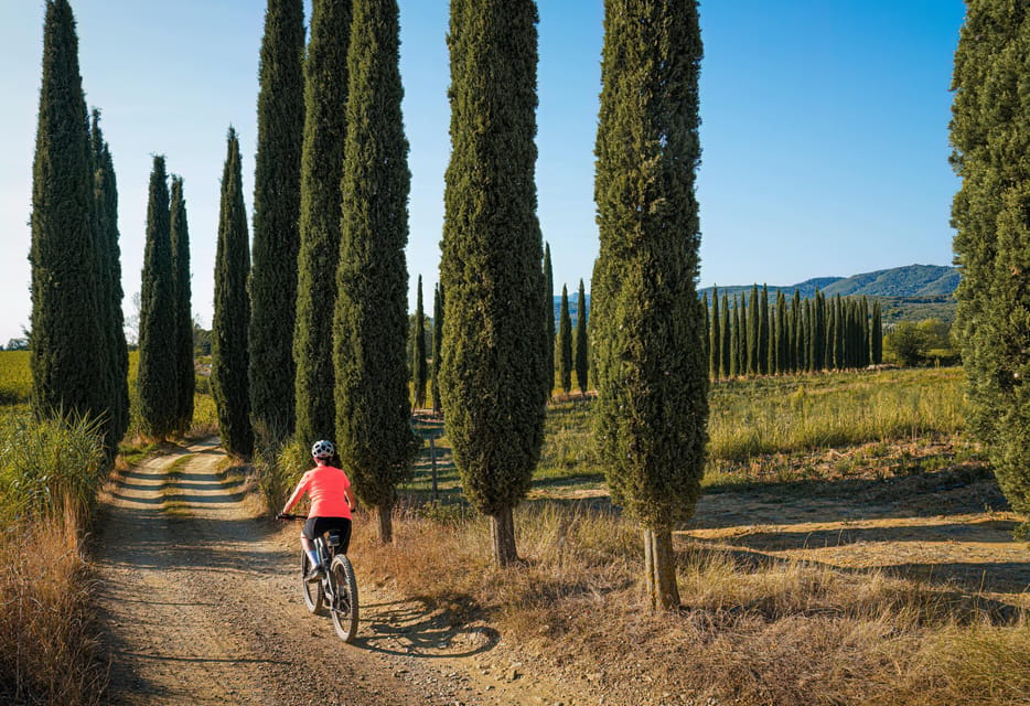 Chianti Tuscany: Ebike & Wine Tour + Pick-Up & Drop-Off by Van - Participant Restrictions