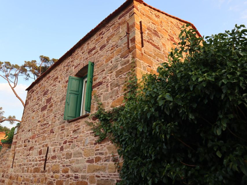 Chios: Orange Farm Trip & Tasting - Citrus Museum Visit - Citrus Picking and Tasting